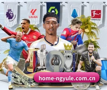 ng娱乐 APP